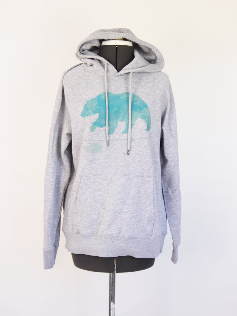 The North Face Women's Bearscape 2 Pullover Hoodie Gray Teal Bear Size Medium